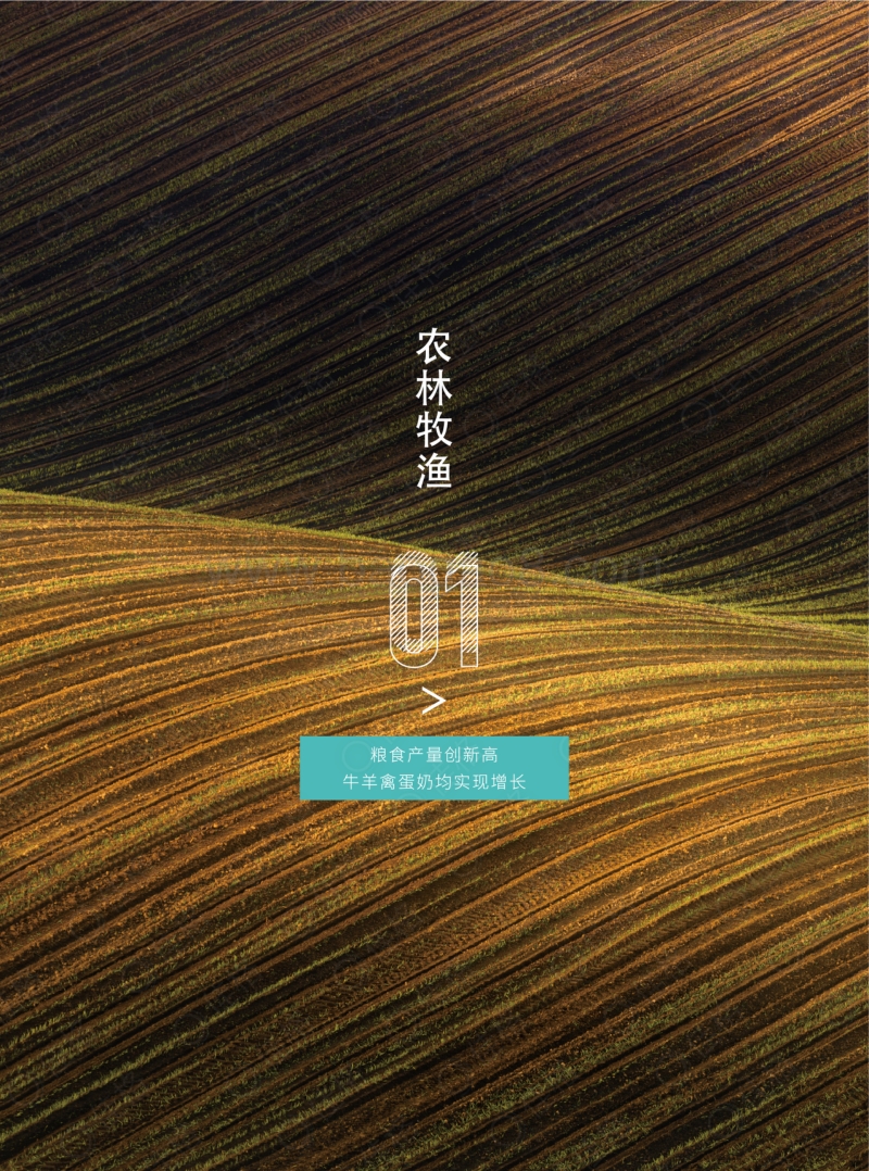 2019农业白皮书.pdf_第4页