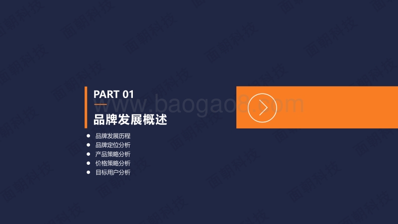 护肤品牌案例分析报告：赫丽尔斯.pdf_第3页