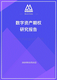 数字资产期权研究报告.pdf