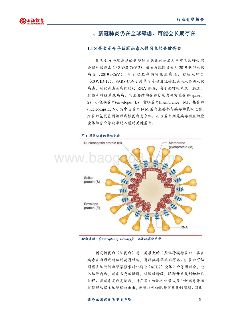 新冠疫苗专题报告：灭活苗进度领跑全球，重组蛋白苗潜力较大.pdf_第5页