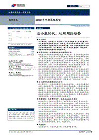 2020年中期策略展望：后小康时代，从周期到趋势.pdf