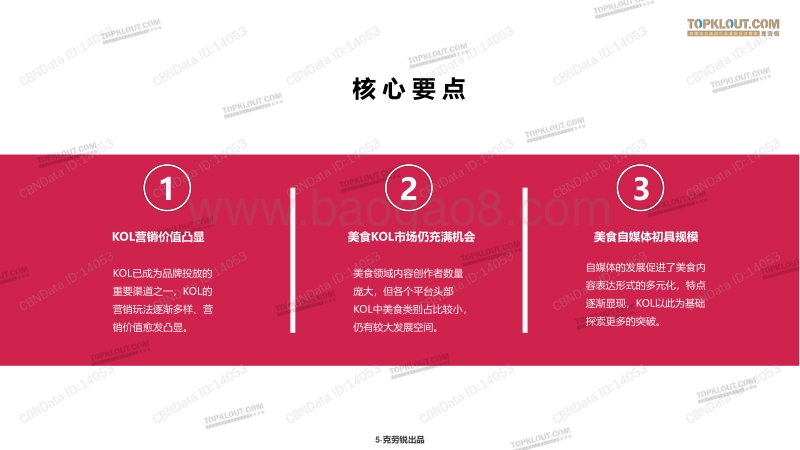 2020年美食KOL营销价值分析报告.pdf_第5页