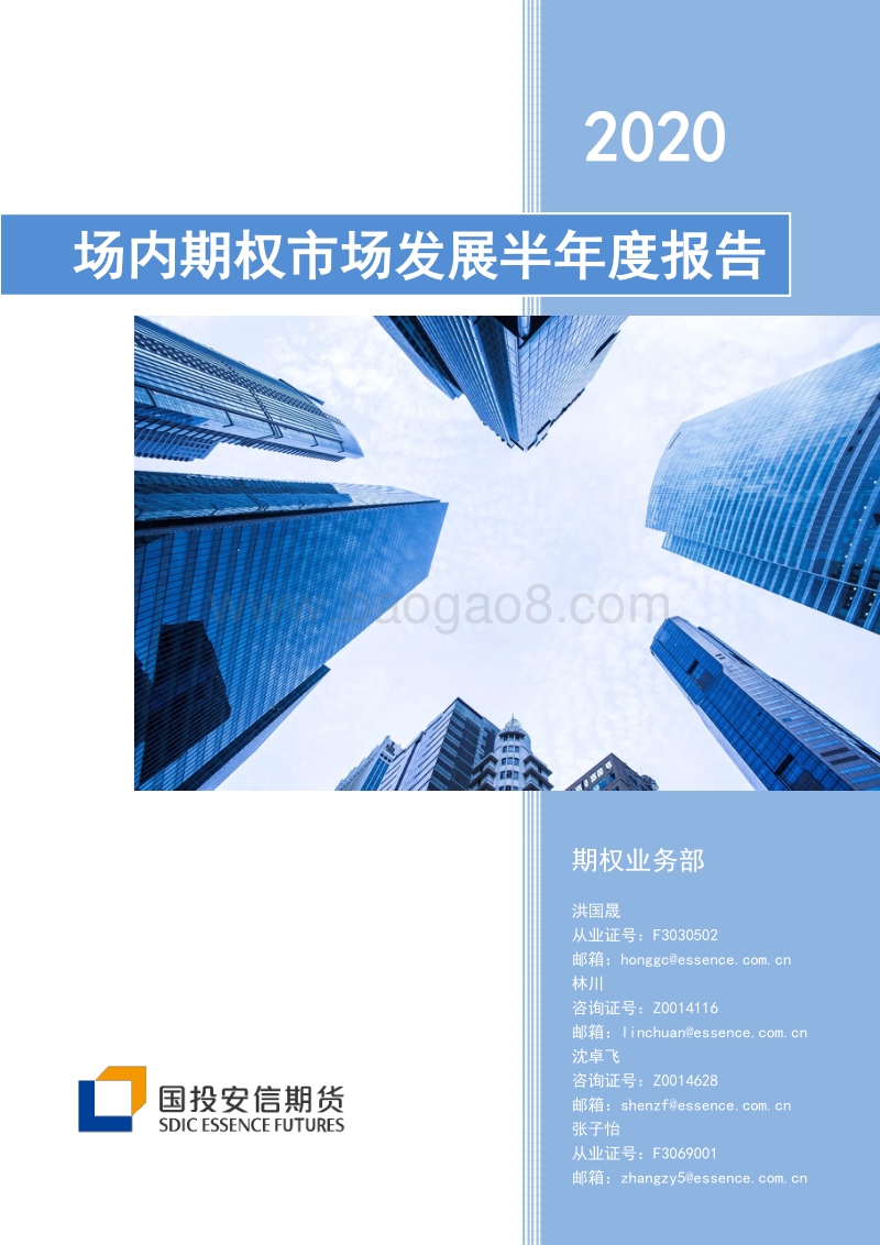 2020场内期权市场发展半年度报告.pdf_第1页