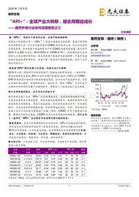 医药外包行业系列深度报告之三：“API+”：全球产业大转移，褪去周期迎成长.pdf