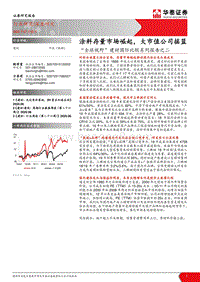 “全球视野”建材国际比较系列报告之二：涂料存量市场崛起，大市值公司摇篮.pdf