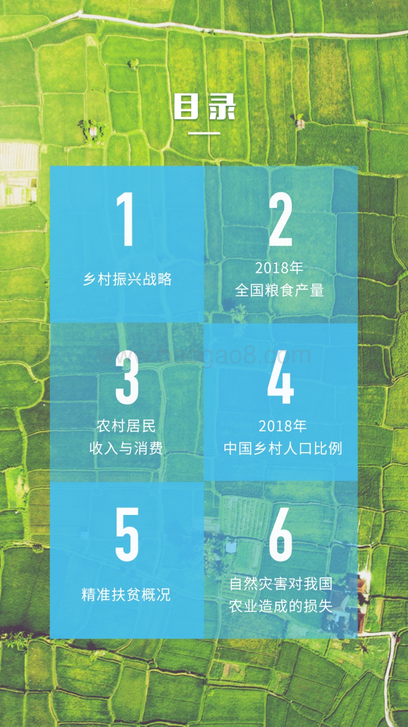 2018年农业白皮书.pdf_第3页