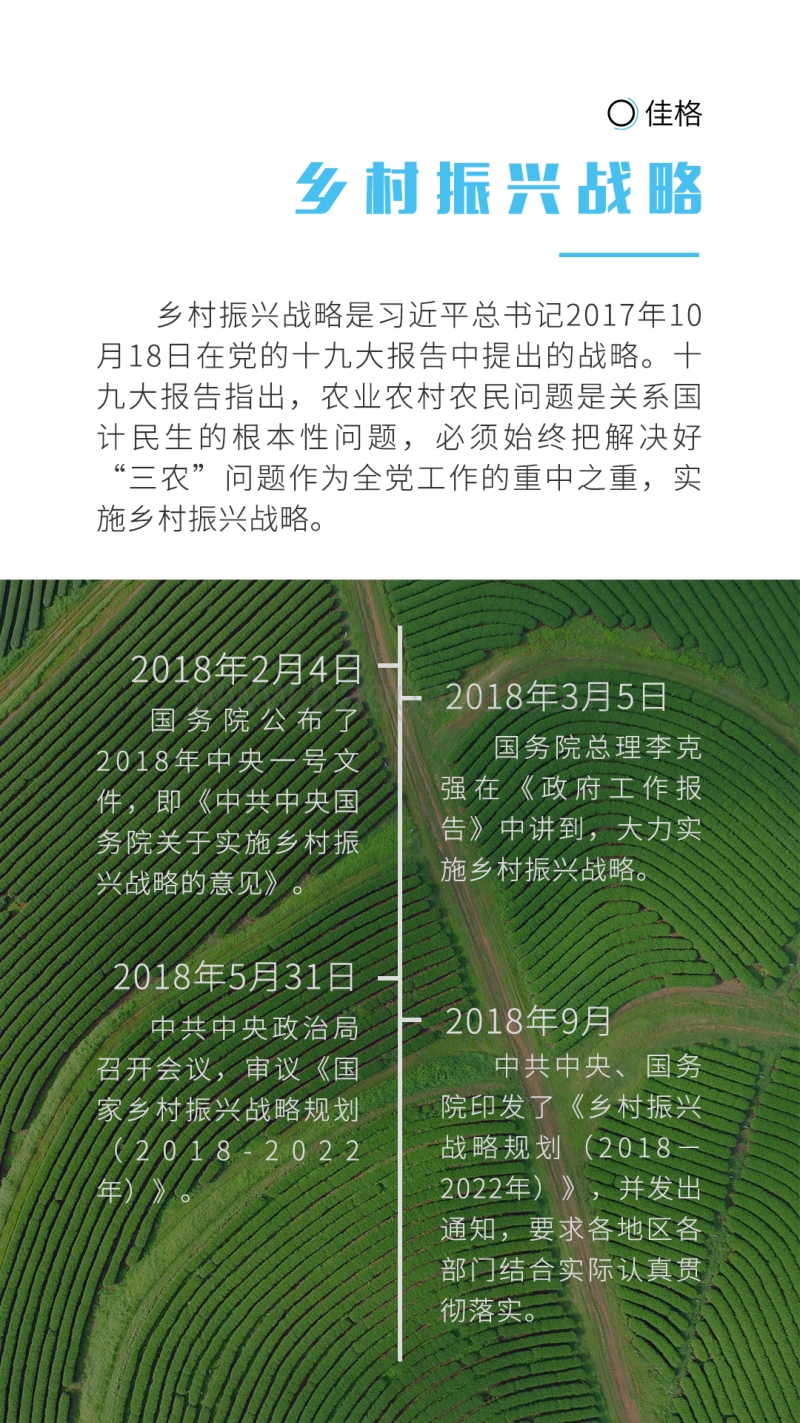 2018年农业白皮书.pdf_第4页