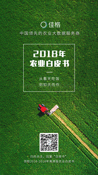2018年农业白皮书.pdf