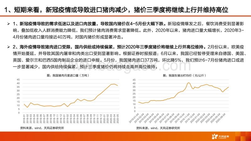 农林牧渔2020年下半年策略：把握头部养殖企业成长机遇，布局动保、种子产业变革机会！.pdf_第4页