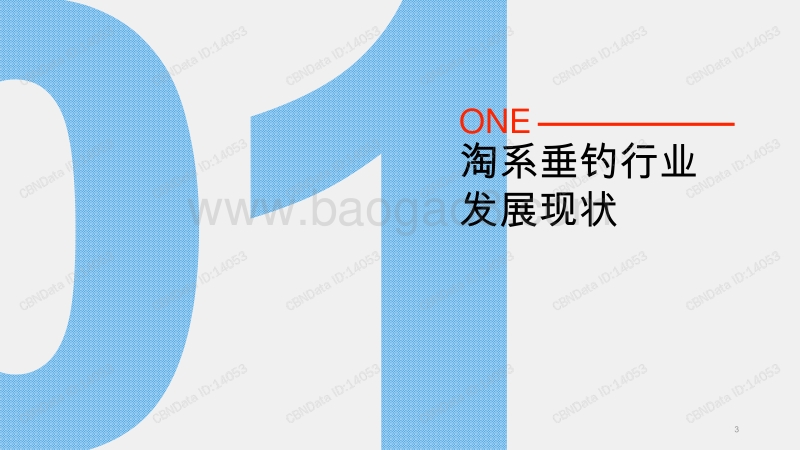 2020淘系垂钓行业消费洞察报告.pdf_第3页