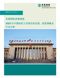 2020年中国政府工作报告的宏观、投资策略及行业分析.pdf