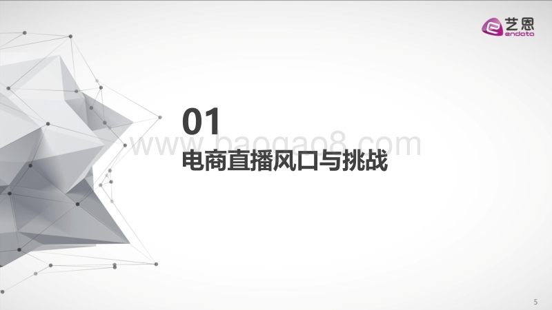 “连麦”电商直播用户.pdf_第5页
