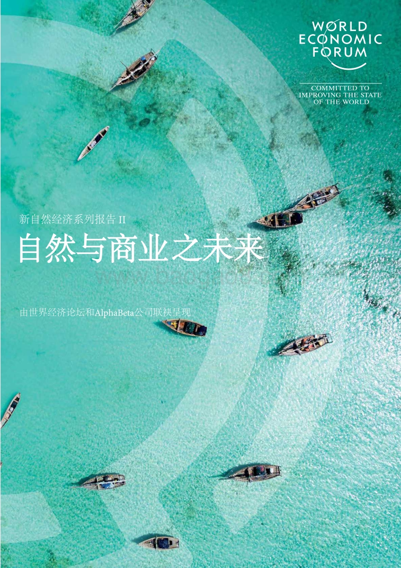 新自然经济系列报告II：自然与商业之未来.pdf_第1页