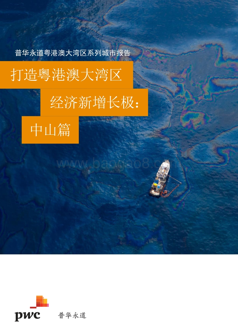 打造粤港澳大湾区经济新增长极：中山篇.pdf_第1页