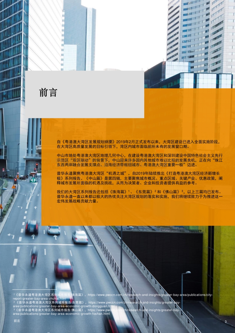 打造粤港澳大湾区经济新增长极：中山篇.pdf_第3页