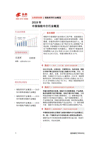 2019年中国保险中介行业概览.pdf