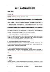 2019年中国染料行业概览.pdf