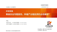 粮食安全专题报告：种植产业链投资机会有哪些？.pdf