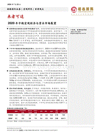 2020年中期宏观经济与资本市场展望：来者可追.pdf