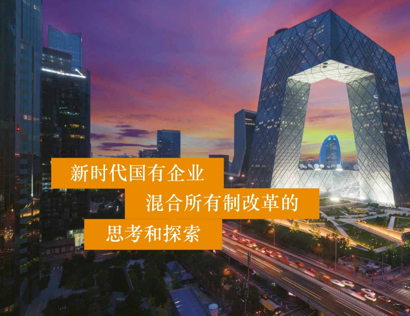 新时代国有企业混改探索和发展.pdf_第5页