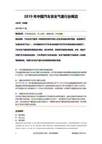 2019年中国汽车安全气囊行业概览.pdf