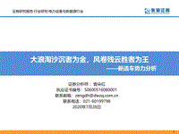 新造车势力分析：大浪淘沙沉者为金，风卷残云胜者为王.pdf