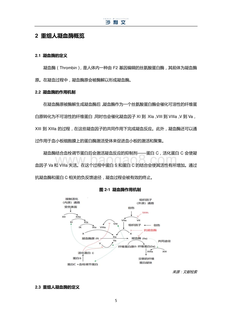 中国重组人凝血酶行业市场研究报告.pdf_第5页