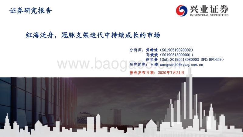 红海泛舟，冠脉支架迭代中持续成长的市场.pdf_第1页