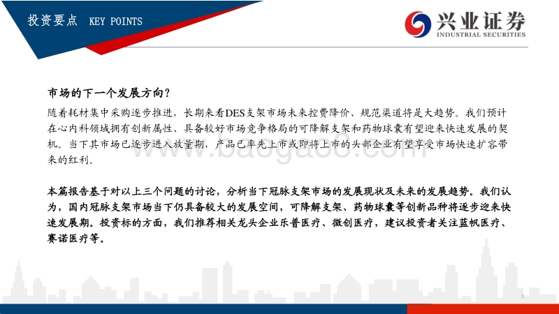 红海泛舟，冠脉支架迭代中持续成长的市场.pdf_第3页