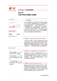 2019年中国半导体存储器行业概览.pdf