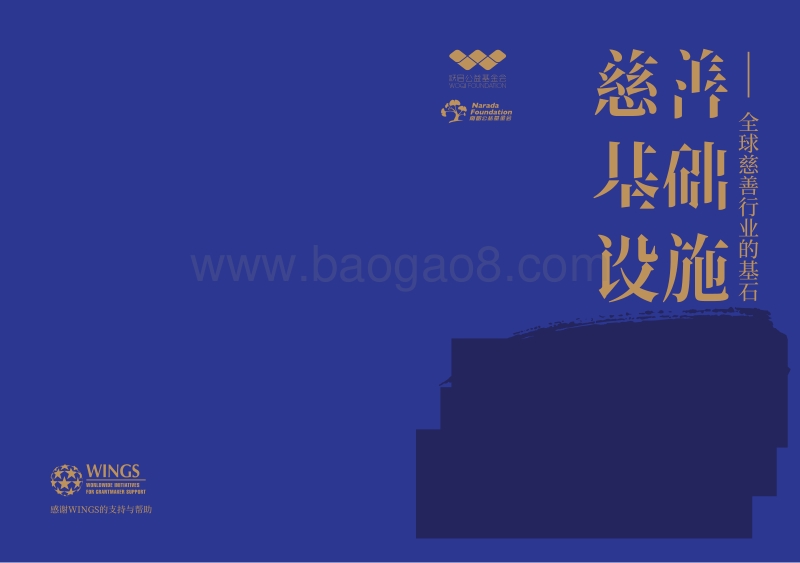 慈善基础设施：全球慈善行业的基石.pdf_第1页