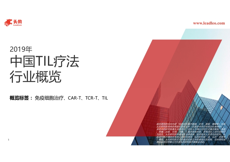 2019年中国TIL疗法行业概览.pdf_第1页