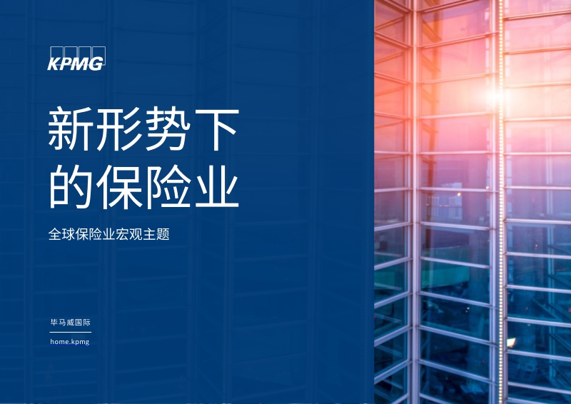 新形势下的保险业.pdf_第1页