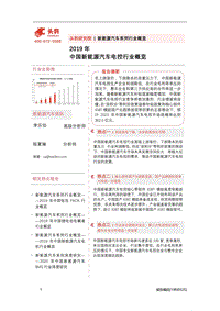 2019年中国新能源汽车电控行业概览.pdf