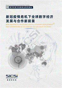 新冠疫情危机下全球数字经济发展与合作新前景.pdf