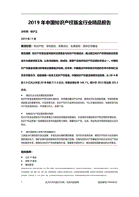 2019年中国知识产权基金行业精品报告.pdf