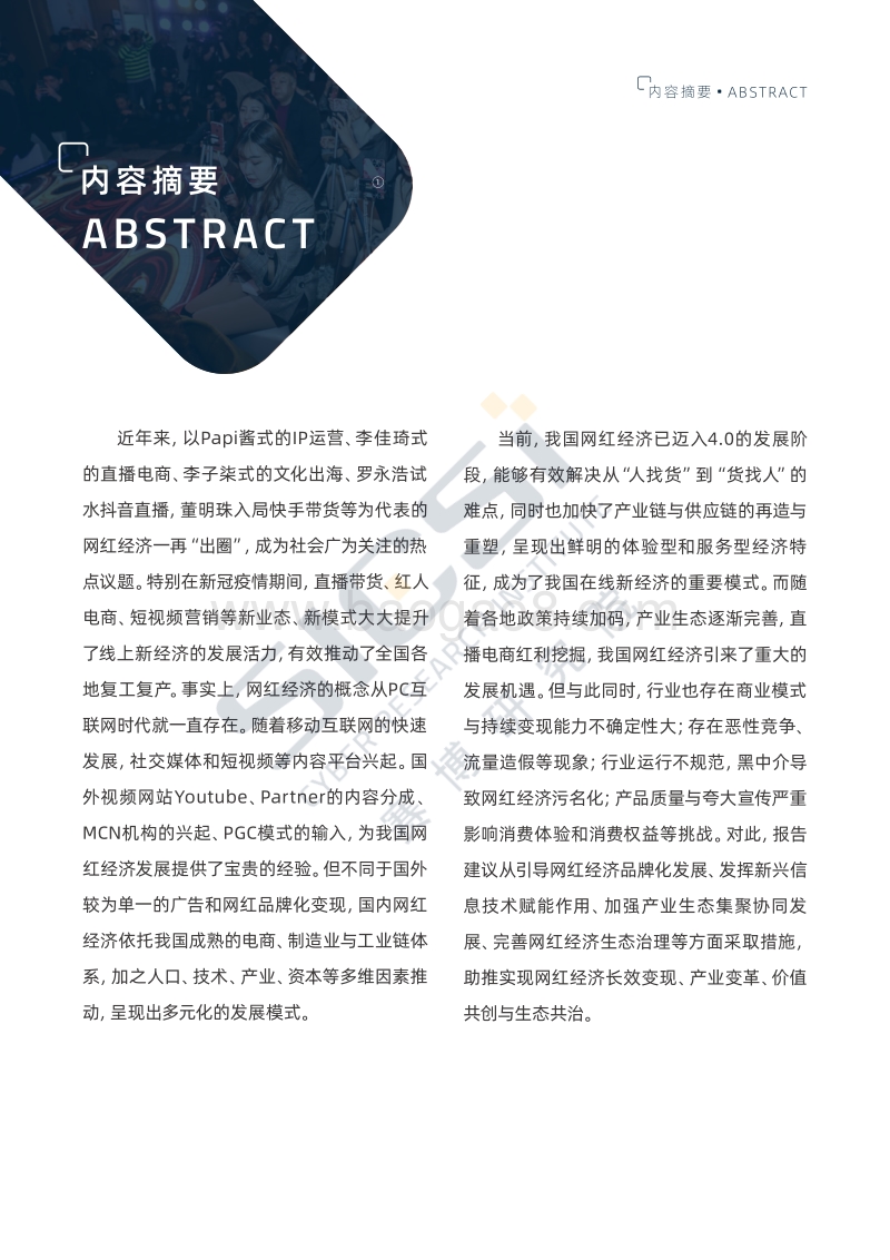 网红经济产业全景与发展报告.pdf_第3页