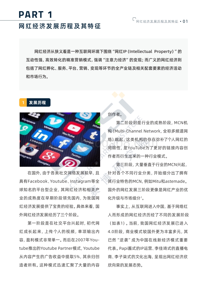 网红经济产业全景与发展报告.pdf_第5页