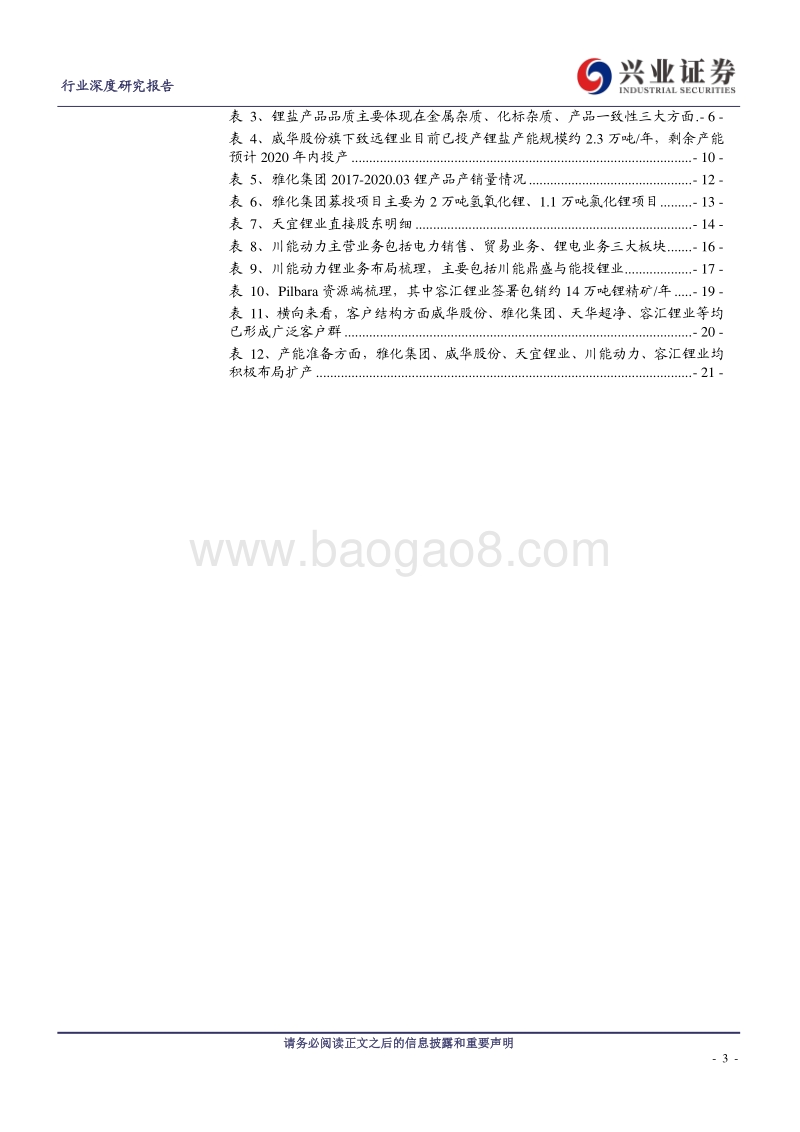 氢氧化锂系列报告之三：新兴力量，谁将率先突出重围？.pdf_第3页