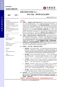 氢氧化锂系列报告之三：新兴力量，谁将率先突出重围？.pdf