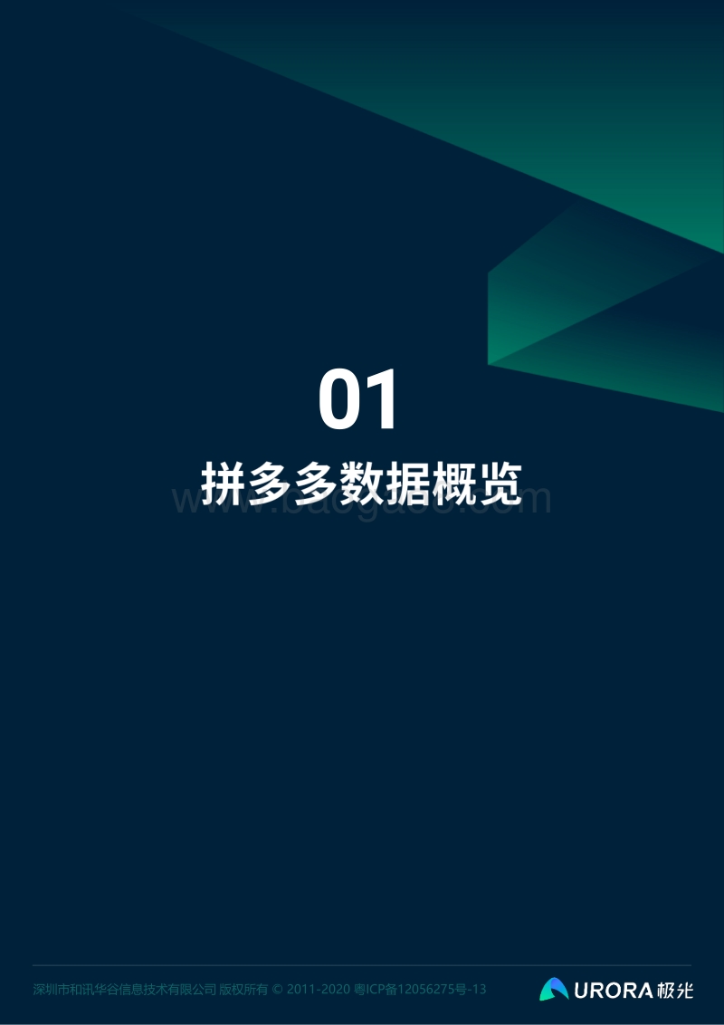 拼多多监测数据全面解析.pdf_第3页