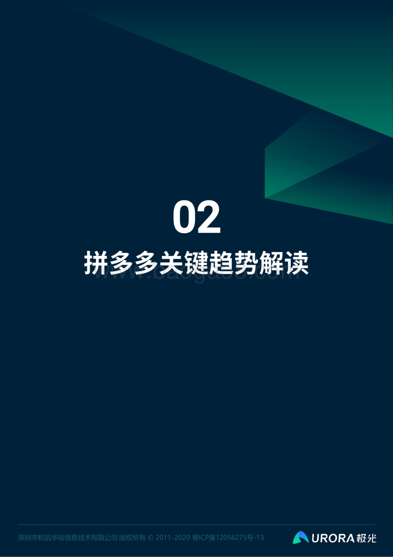 拼多多监测数据全面解析.pdf_第5页