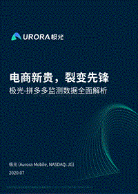 拼多多监测数据全面解析.pdf