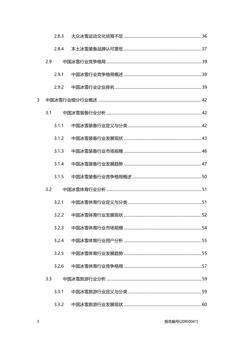 2019年中国冰雪行业白皮书.pdf_第3页