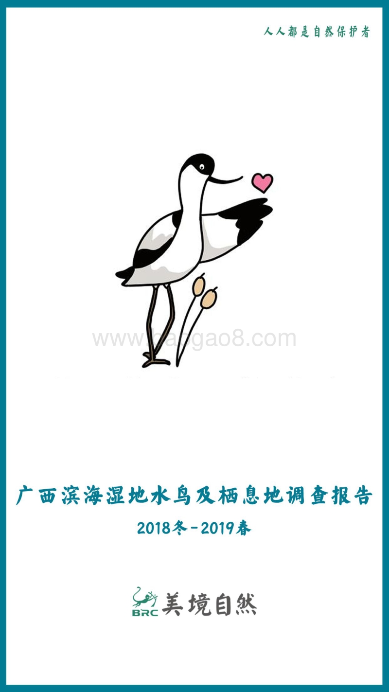 2018冬-2019春广西滨海湿地水鸟及栖息地调查报告.pdf_第1页