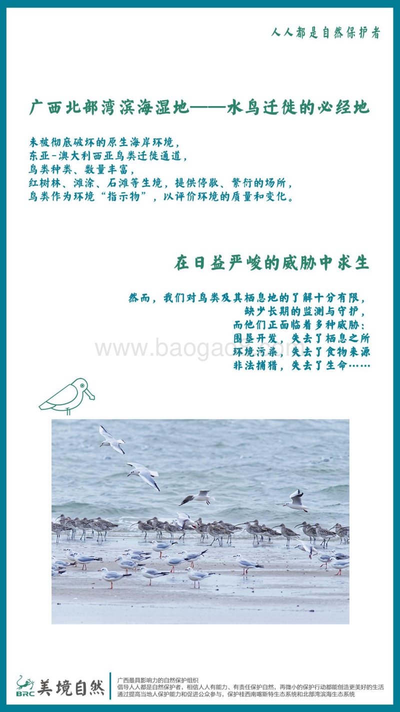 2018冬-2019春广西滨海湿地水鸟及栖息地调查报告.pdf_第2页