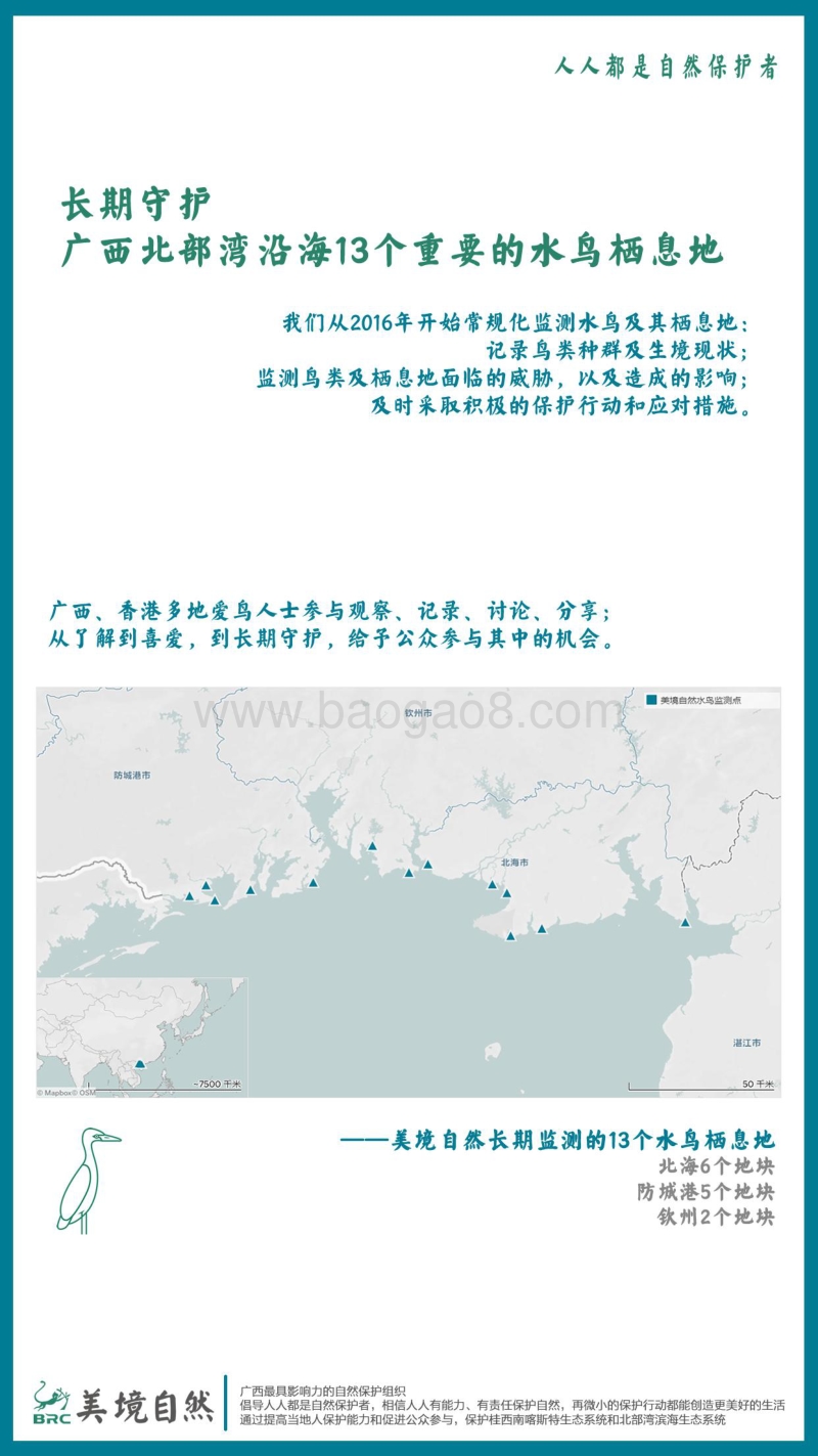 2018冬-2019春广西滨海湿地水鸟及栖息地调查报告.pdf_第3页
