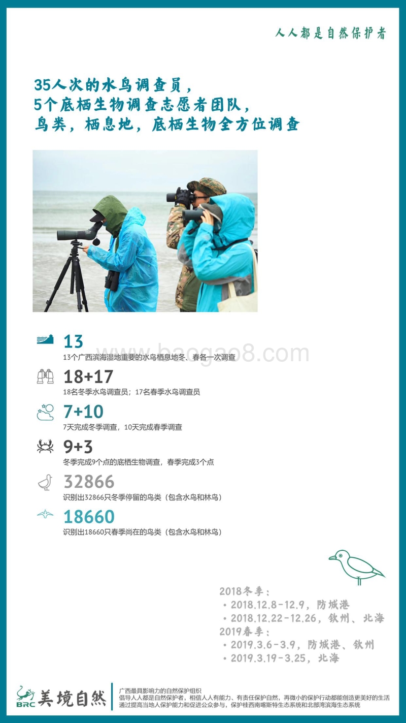 2018冬-2019春广西滨海湿地水鸟及栖息地调查报告.pdf_第4页