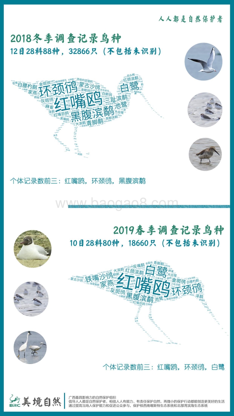 2018冬-2019春广西滨海湿地水鸟及栖息地调查报告.pdf_第5页