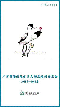 2018冬-2019春广西滨海湿地水鸟及栖息地调查报告.pdf